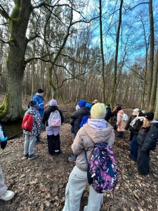 foto 7 (2) (Copy)